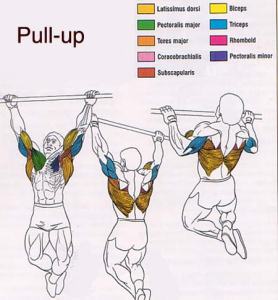 1pullup2